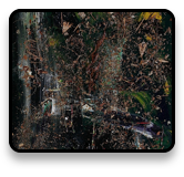collage image title